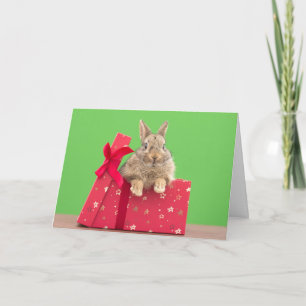 Cutest Baby Animals Christmas Holiday Bunny Card