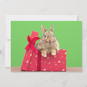 Cutest Baby Animals Christmas Holiday Bunny Thank You Card