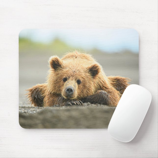 Cutest Baby Animals | Coastal Brown Bear Cub Mouse Mat (With Mouse)