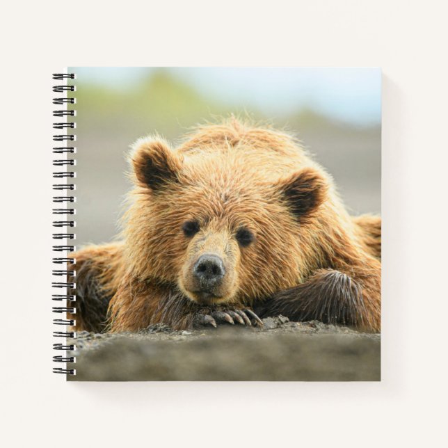Cutest Baby Animals | Coastal Brown Bear Cub Notebook (Front)