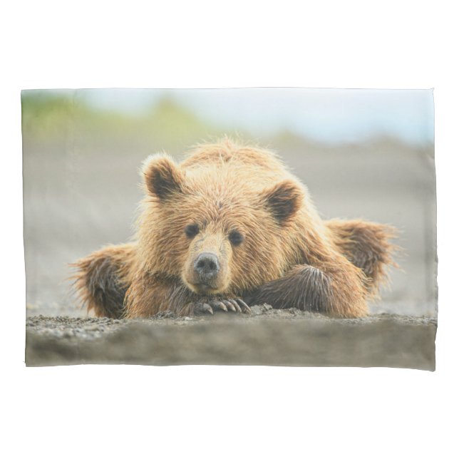 Cutest Baby Animals | Coastal Brown Bear Cub Pillowcase (Front)