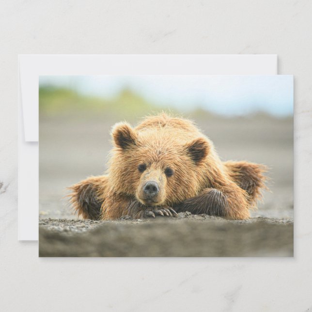 Cutest Baby Animals | Coastal Brown Bear Cub Thank You Card (Front)
