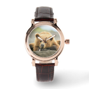 Cutest Baby Animals Coastal Brown Bear Cub Watch