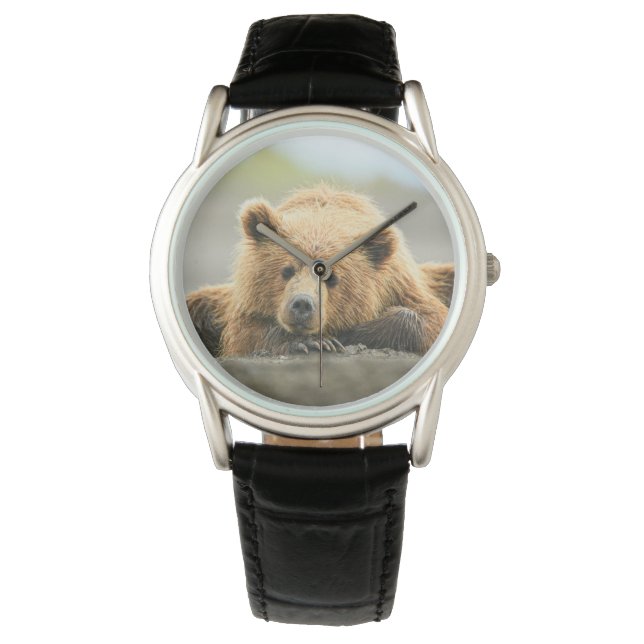 Cutest Baby Animals | Coastal Brown Bear Cub Watch (Front)