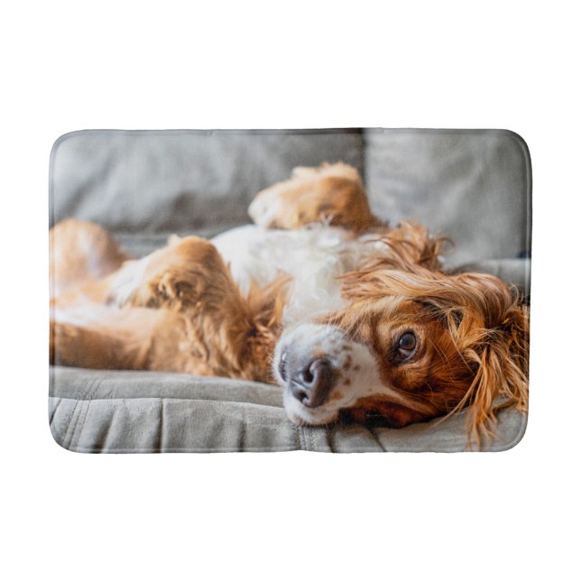 Cutest Baby Animals | Cocker Spaniel Bath Mat (Front)