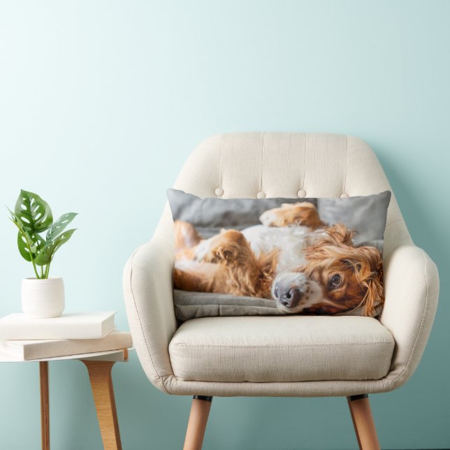 Cutest Baby Animals | Cocker Spaniel Lumbar Cushion (Chair)