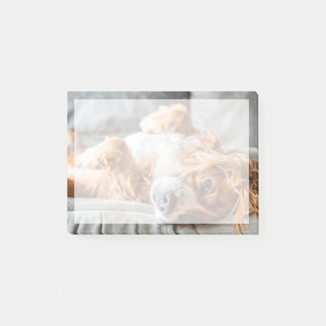 Cutest Baby Animals | Cocker Spaniel Post-it Notes (Front)