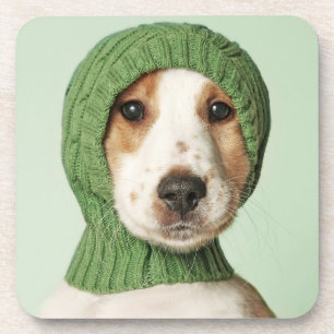 Cutest Baby Animals   Cocker Spaniel Puppy Coaster