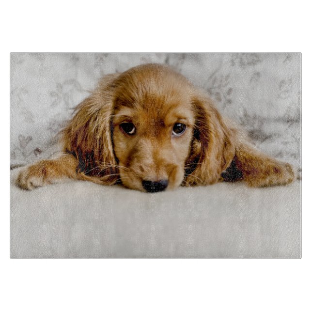 Cutest Baby Animals | Cocker Spaniel Puppy Cutting Board (Front)