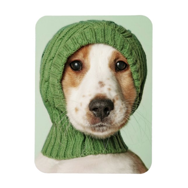 Cutest Baby Animals | Cocker Spaniel Puppy Magnet (Vertical)