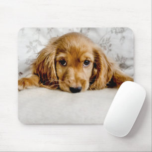 Cutest Baby Animals   Cocker Spaniel Puppy Mouse Mat