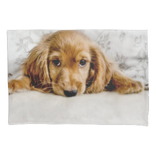 Cutest Baby Animals   Cocker Spaniel Puppy Pillowcase