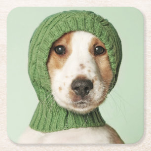 Cutest Baby Animals   Cocker Spaniel Puppy Square Paper Coaster
