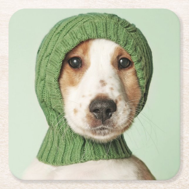 Cutest Baby Animals | Cocker Spaniel Puppy Square Paper Coaster (Front)