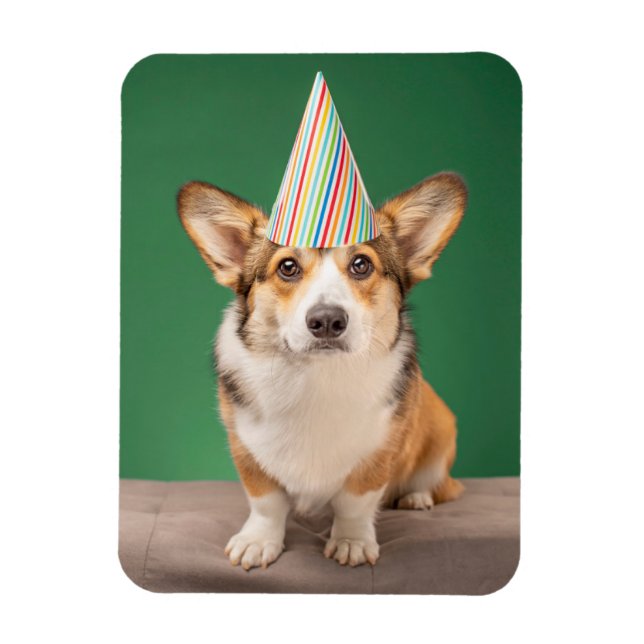 Cutest Baby Animals | Corgi Birthday Puppy Magnet (Vertical)