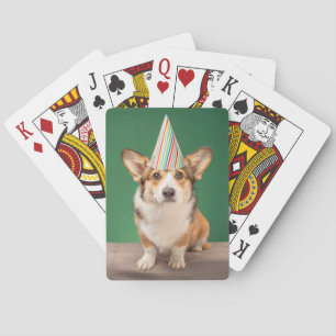 Cutest Baby Animals   Corgi Birthday Puppy Playing Cards