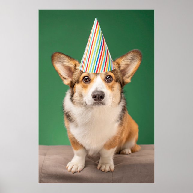Cutest Baby Animals | Corgi Birthday Puppy Poster (Front)