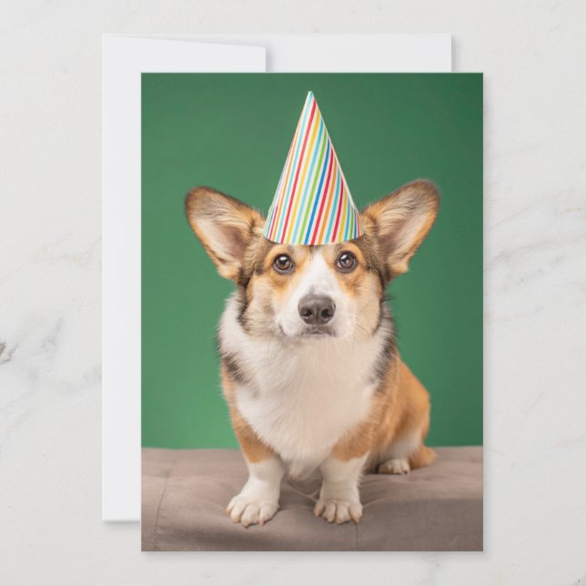 Cutest Baby Animals | Corgi Birthday Puppy Thank You Card (Front)