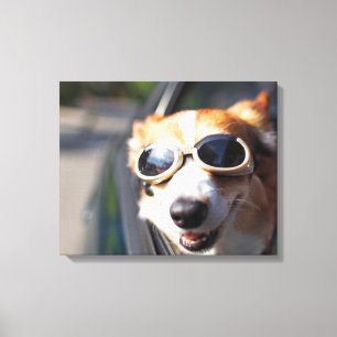 Cutest Baby Animals   Corgi Goggles in the Car Canvas Print