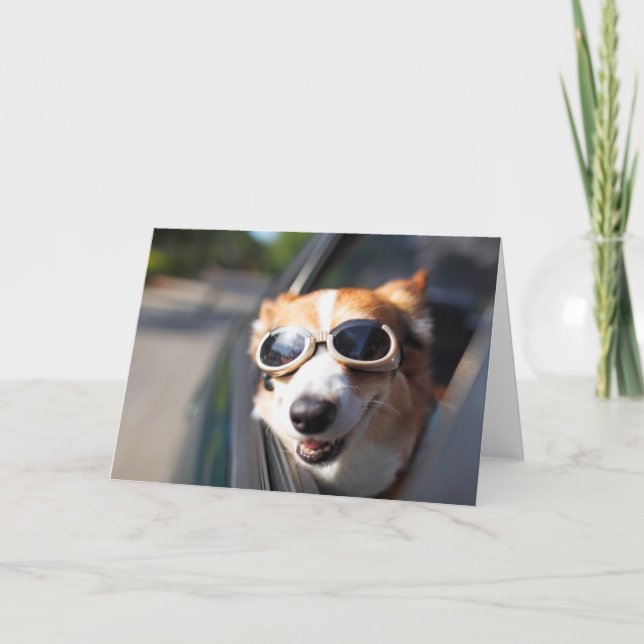 Cutest Baby Animals | Corgi Goggles in the Car Card (Front)
