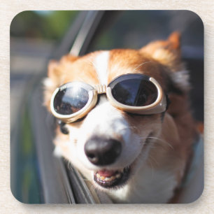 Cutest Baby Animals   Corgi Goggles in the Car Coaster