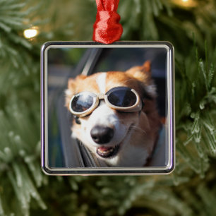 Cutest Baby Animals   Corgi Goggles in the Car Metal Tree Decoration