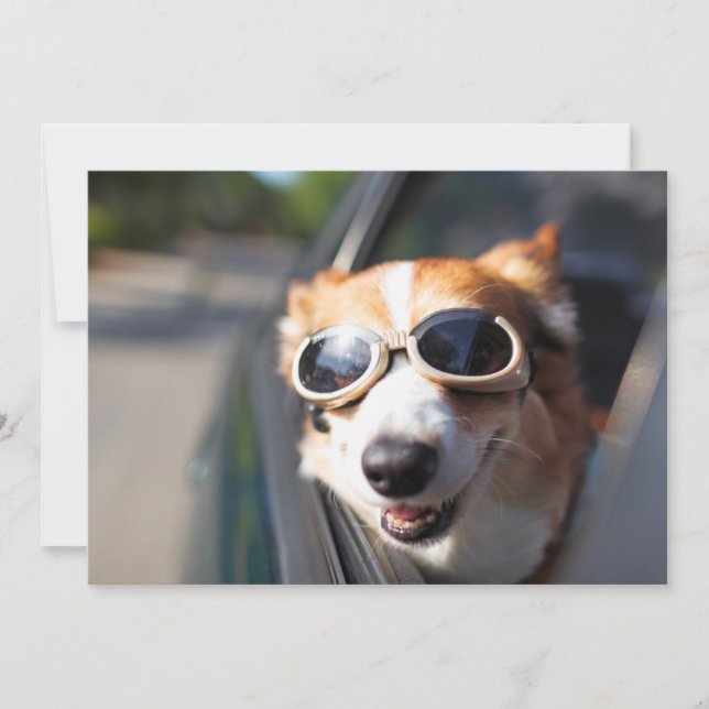 Cutest Baby Animals | Corgi Goggles in the Car Thank You Card (Front)
