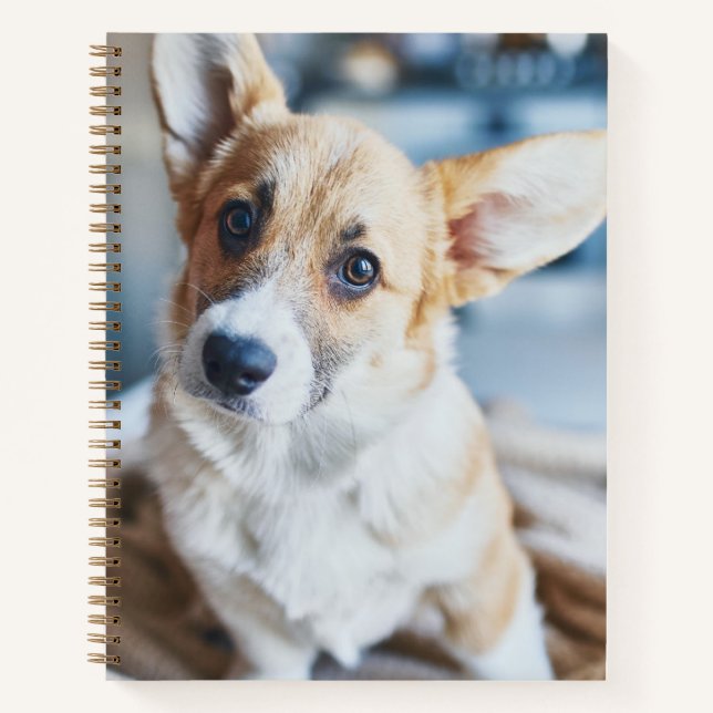 Cutest Baby Animals | Corgi Head Tilt Notebook (Front)