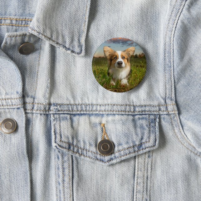 Cutest Baby Animals | Corgi in Cloudy Yard 6 Cm Round Badge (In Situ)