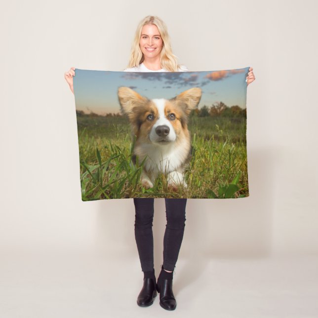 Cutest Baby Animals | Corgi in Cloudy Yard Fleece Blanket (In Situ)