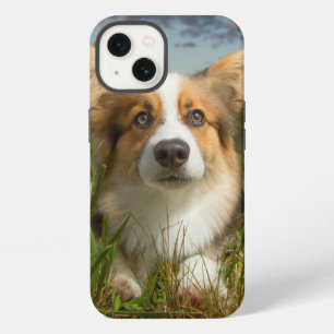 Cutest Baby Animals Corgi in Cloudy Yard iPhone 13 Case