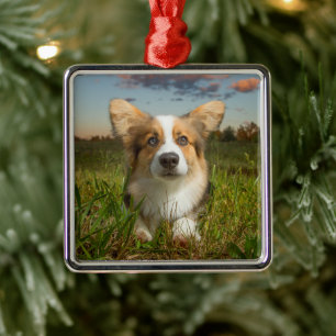 Cutest Baby Animals Corgi in Cloudy Yard Metal Tree Decoration