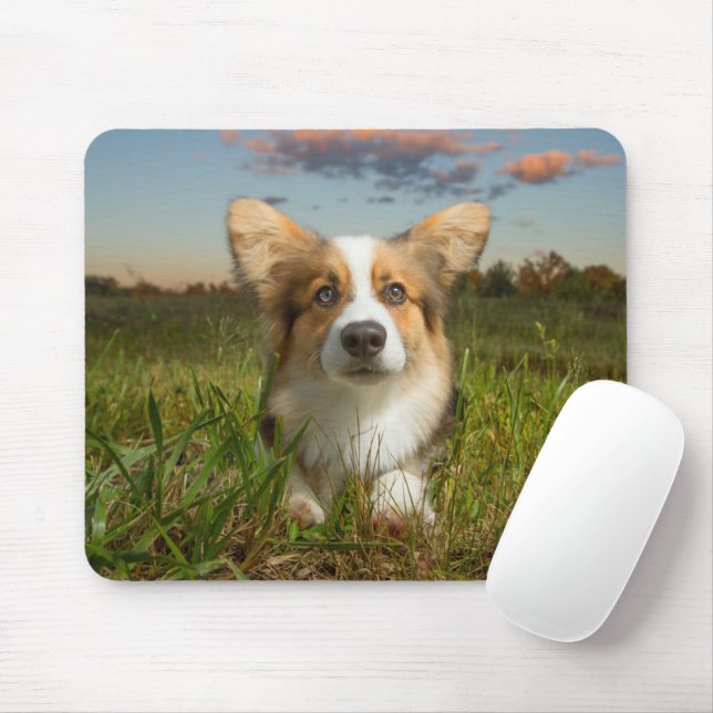 Cutest Baby Animals | Corgi in Cloudy Yard Mouse Mat (With Mouse)