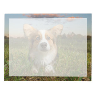 Cutest Baby Animals   Corgi in Cloudy Yard Notepad