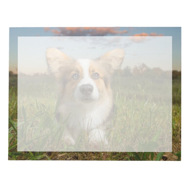 Cutest Baby Animals | Corgi in Cloudy Yard Notepad (Front)