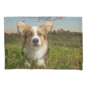 Cutest Baby Animals   Corgi in Cloudy Yard Pillowcase