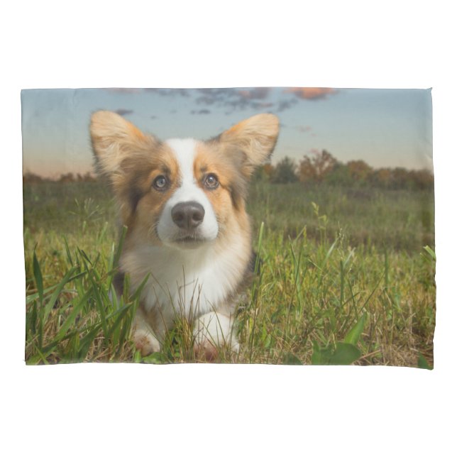 Cutest Baby Animals | Corgi in Cloudy Yard Pillowcase (Front)