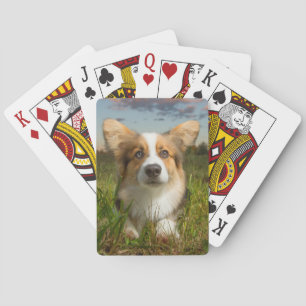 Cutest Baby Animals Corgi in Cloudy Yard Playing Cards