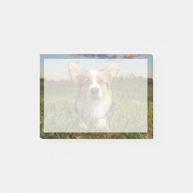 Cutest Baby Animals | Corgi in Cloudy Yard Post-it Notes (Front)