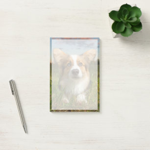 Cutest Baby Animals Corgi in Cloudy Yard Post-it Notes