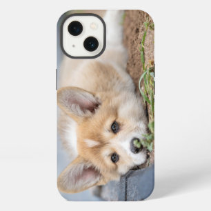 Cutest Baby Animals Corgi Laying in the Yard iPhone 13 Case