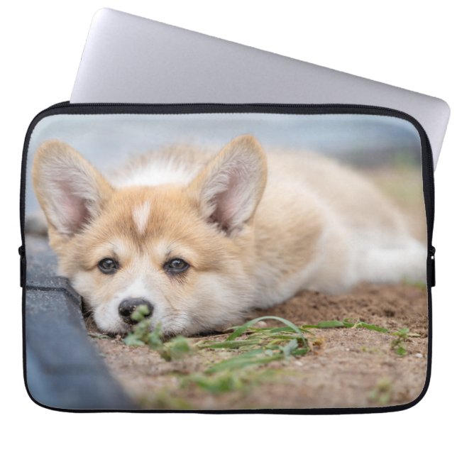 Cutest Baby Animals | Corgi Laying in the Yard Laptop Sleeve (Front)