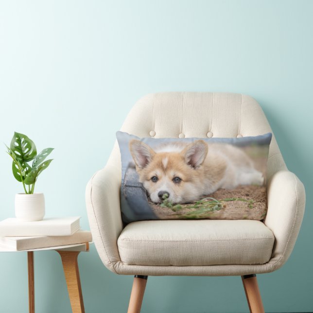 Cutest Baby Animals | Corgi Laying in the Yard Lumbar Cushion (Chair)