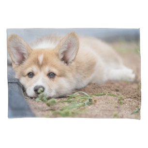 Cutest Baby Animals   Corgi Laying in the Yard Pillowcase