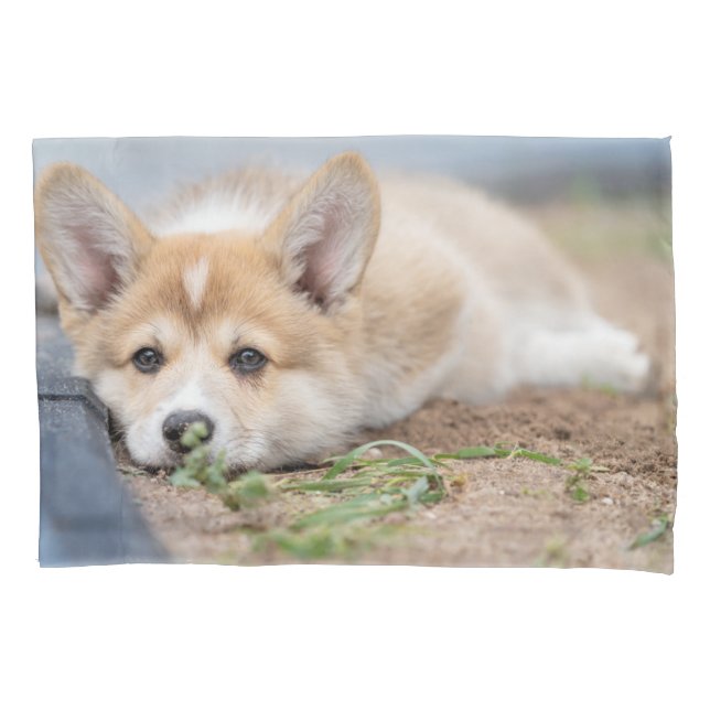 Cutest Baby Animals | Corgi Laying in the Yard Pillowcase (Front)