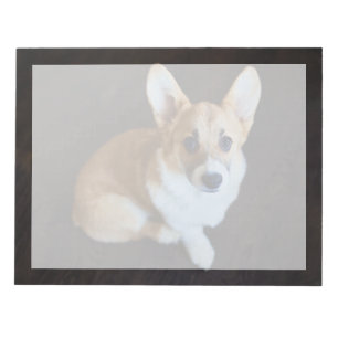 Cutest Baby Animals Corgi Looking Up Notepad