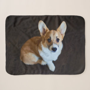 Cutest Baby Animals Corgi Looking Up Sherpa Blanket