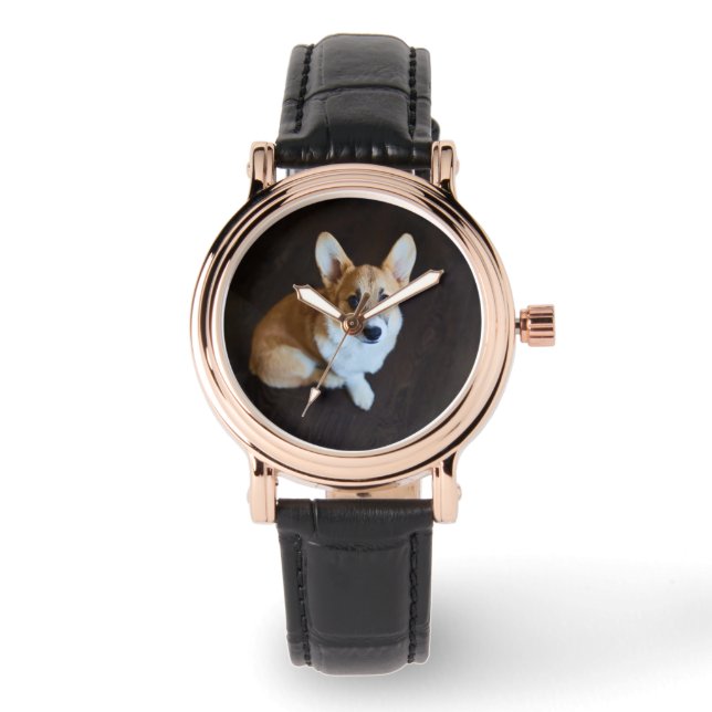 Cutest Baby Animals | Corgi Looking Up Watch (Front)