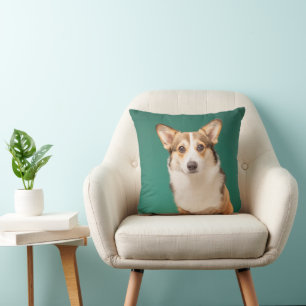 Cutest Baby Animals Corgi on Teal Cushion