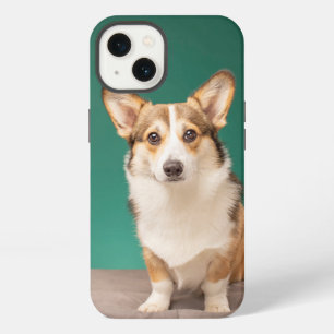 Cutest Baby Animals Corgi on Teal iPhone 13 Case